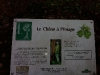 Arbre a Images - Fleurines